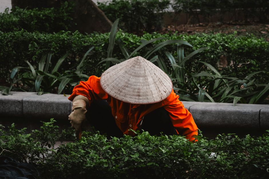 园区环境 标准服务 含墓碑清洁